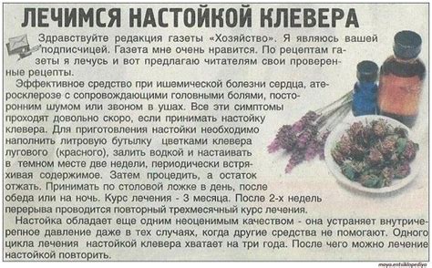 Эффективные натуральные средства для очистки крови