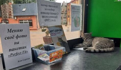 Эффективные советы по отправке анонимной жалобы