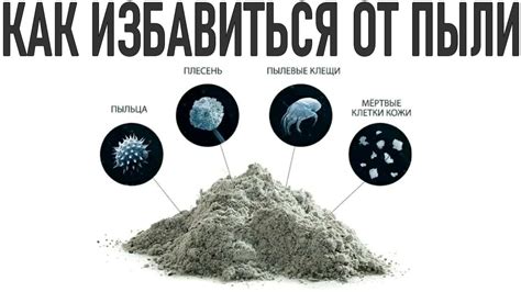 Эффективные способы очистки листьев от пыли