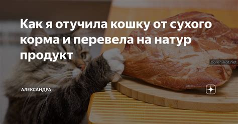 Эффективные способы приготовления корма в арке