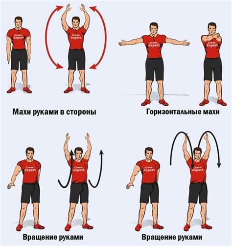 Эффективные способы увеличения ширины плечевого пояса