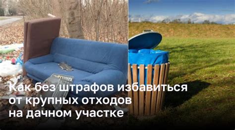 Эффективные способы устранения мусора