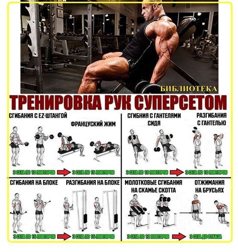 Эффективные упражнения в тренажерном зале