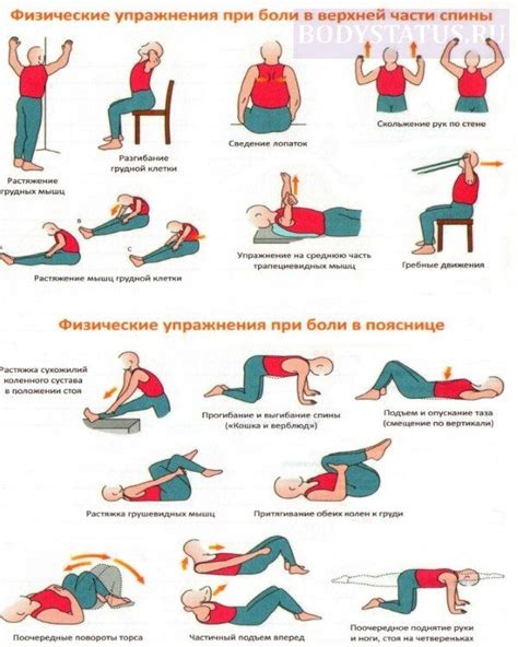 Эффективные упражнения для укрепления мышц тела
