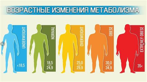 Эффект изменения мышечной массы