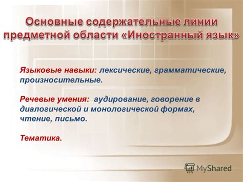 Языковые и компьютерные навыки