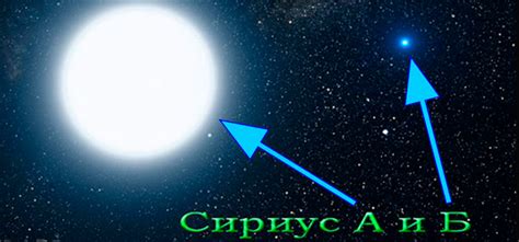 Яркие звезды и астрономические факты