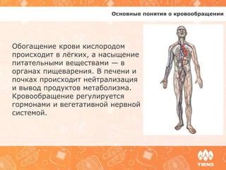 г) Ухудшение циркуляции крови