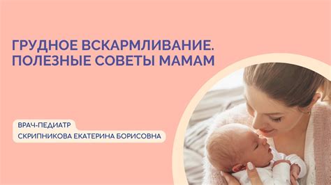  Альтернативные варианты: замена консервам для грудного вскармливания 