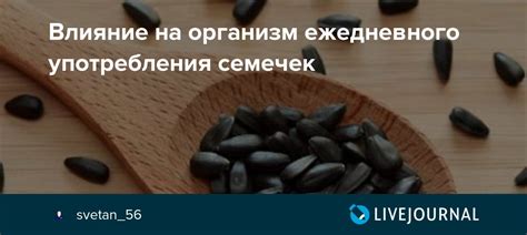  Влияние семечек на организм 
