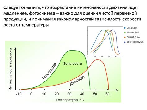  Влияние температуры на структуру мяса 
