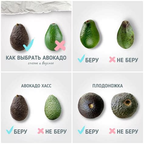  Как выбрать спелое яблоко 