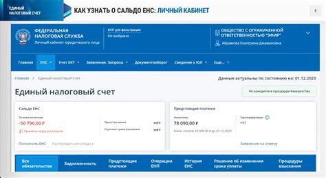  Как получить реквизиты единого налогового счета через портал государственных услуг 