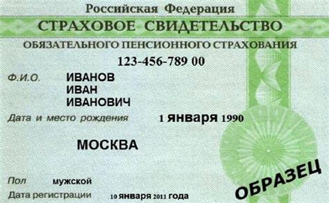  Как узнать статус СНИЛС 