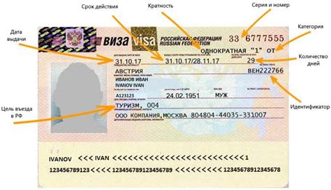  Категория визы 