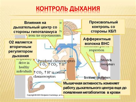  Контроль дыхания и техника дыхания 