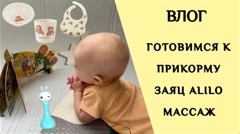  Подготовка желудка к прикорму 