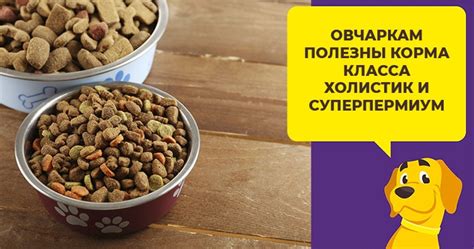  Рацион питания для здоровья овчарки 