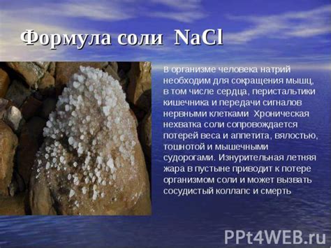  Риски передачи соли 