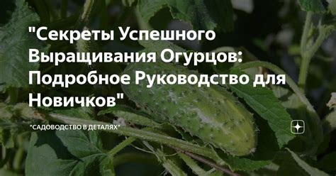  Секреты успешного написания "полущий огород" 