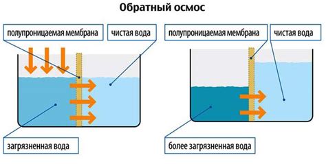  Создание поддерживающей системы: фильтрация и осветление воды 