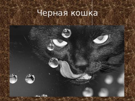  Суеверия и популярные предрассудки 