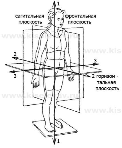 1. Начертание контура тела оси