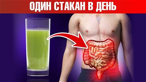 10 советов по эффективному очищению альвеолы