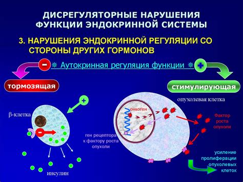 3. Нарушения эндокринной системы