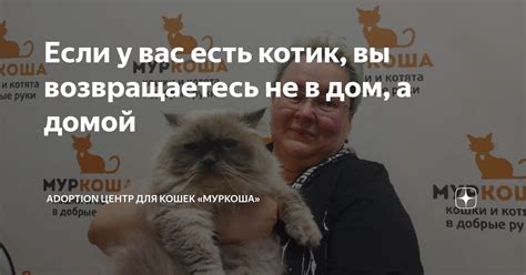5 советов по решению проблемы с пением в доме, если у вас есть кот