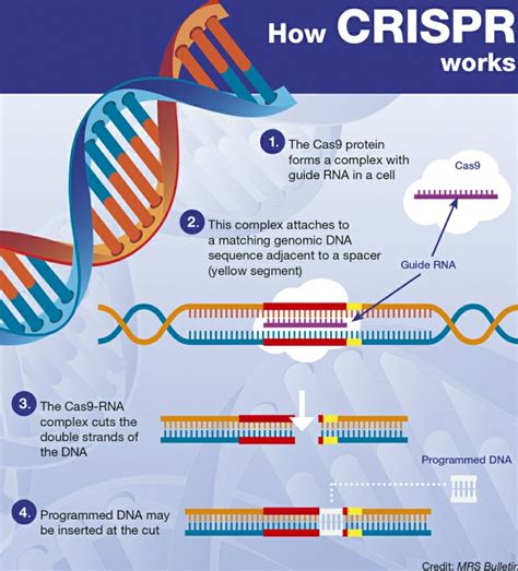 CRISPR-Cas9
