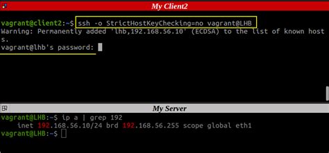 EFI в Linux: все, что нужно знать