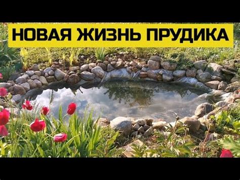Mастер-класс по строительству прудика своими руками
