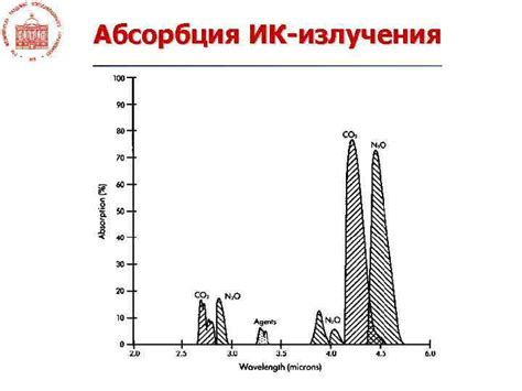 SAR: специфическая абсорбция излучения