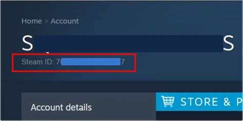 Steam ID и безопасность